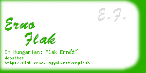 erno flak business card